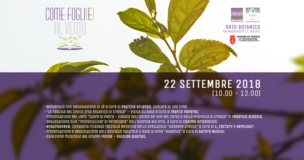 copertina 22 settembre come foglie al vento